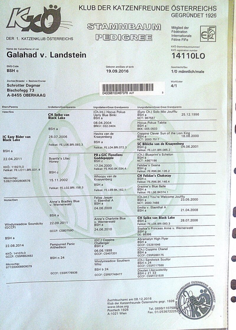 pedigree Galahad